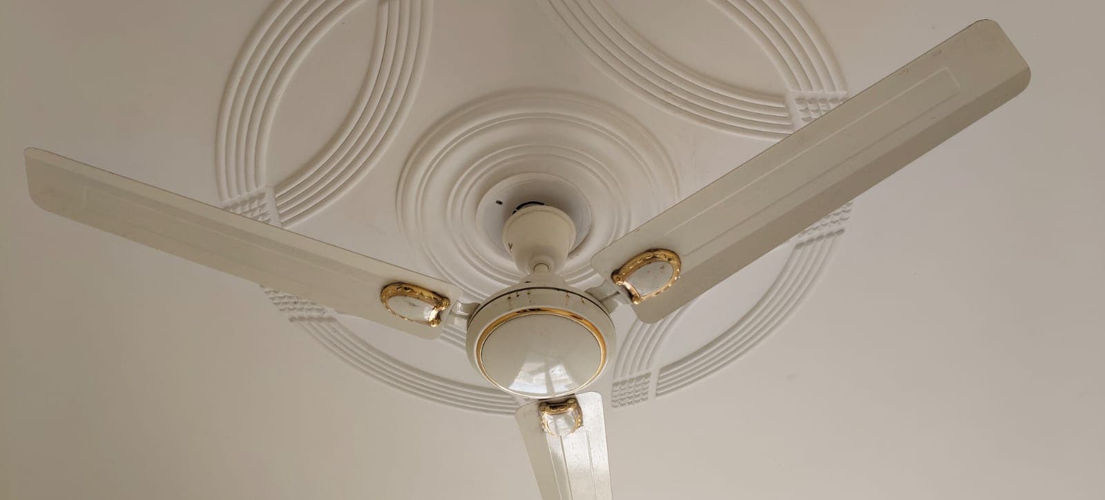 Ceiling fan detailed after cleaning